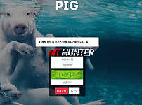 [먹튀검증진행] 피그검증 PIG검증 pig-330.com 토토사이트 안전놀이터 먹튀검증